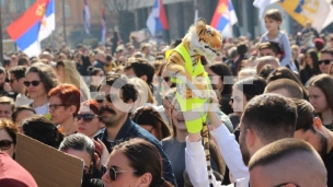 Ocena ustavnosti Uredbe
